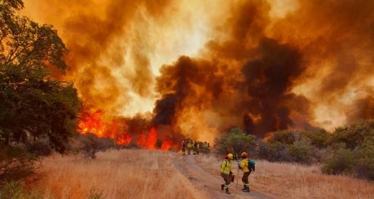 Peligro de incendios en verano